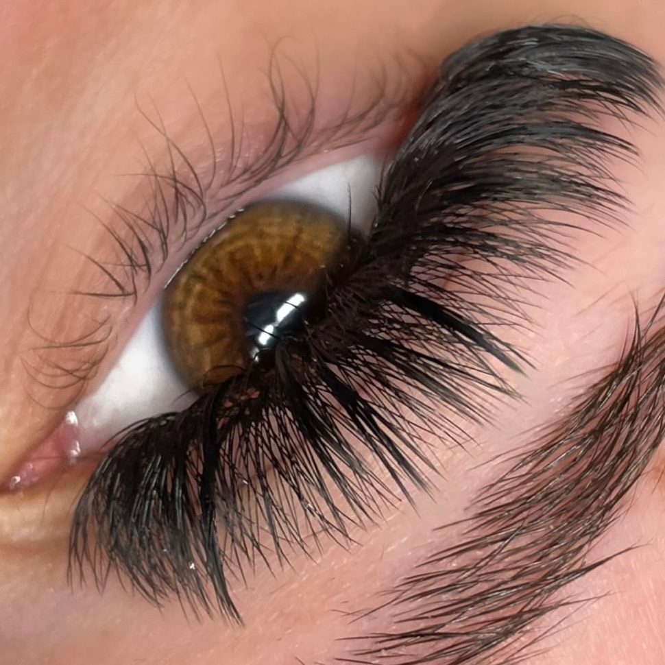 Spire Lashes mit nassem, dramatischem Effekt an einem braunen Auge